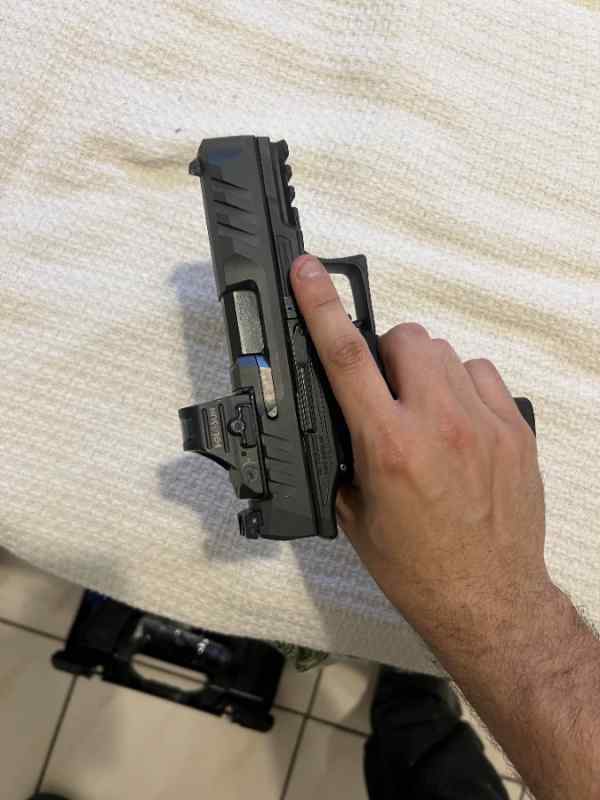 walther 2.jpg