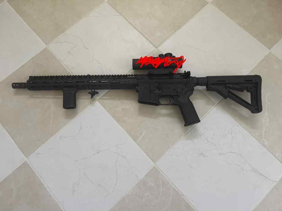 Sig Sauer M400 / Bushmaster AR