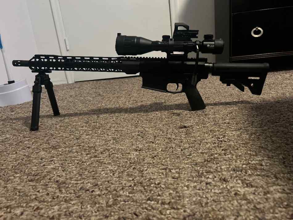 Bear creek ar10 in 308