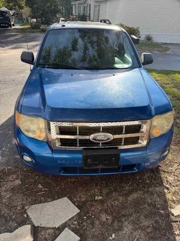 2011 ford escape 
