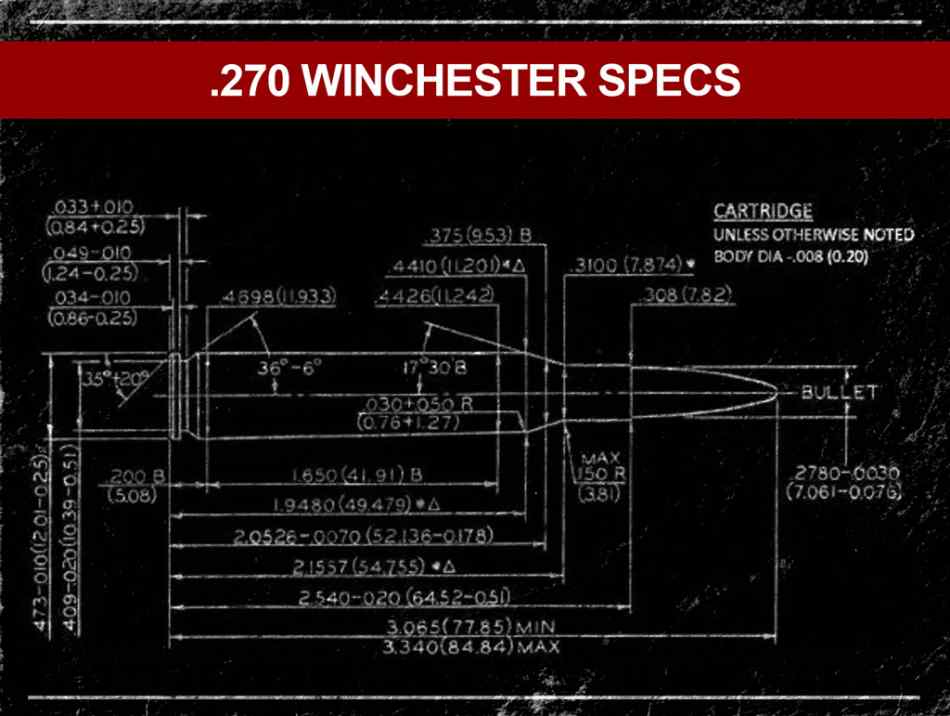 .270 Win Specs.jpg