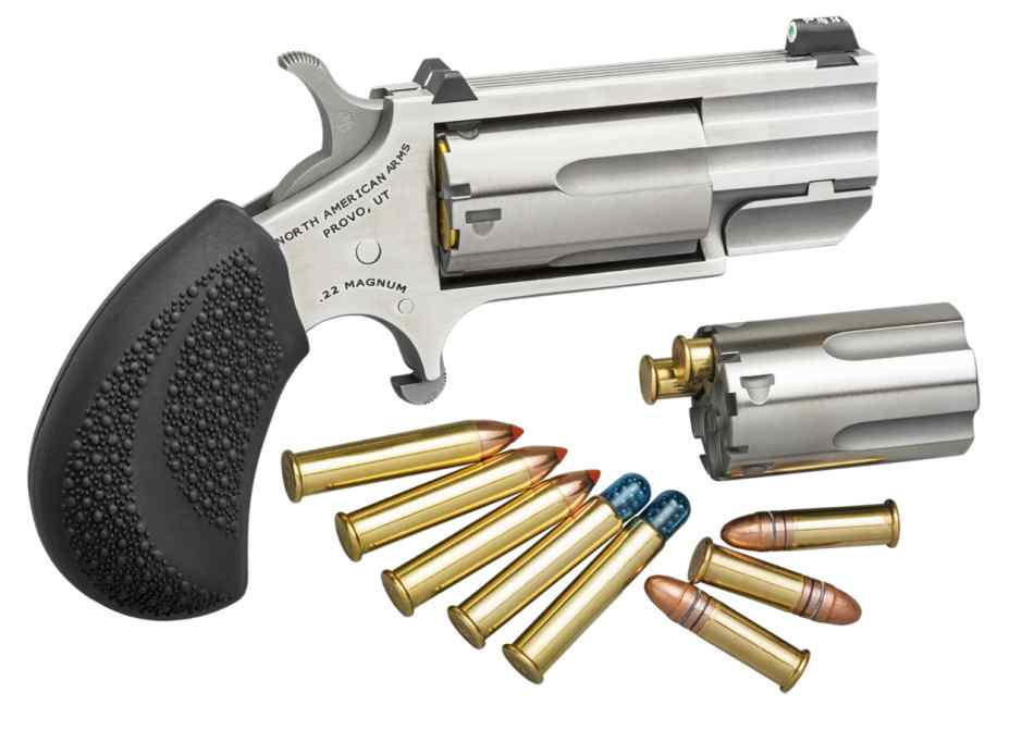 (WTB) NAA Pug 22WMR/Magnum